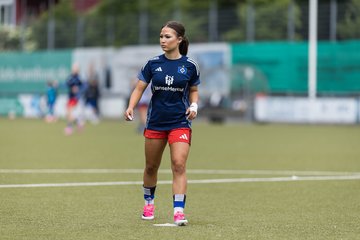 Bild 165 - wBJ Hamburger SV - FC Suederelbe : Ergebnis: 9:0